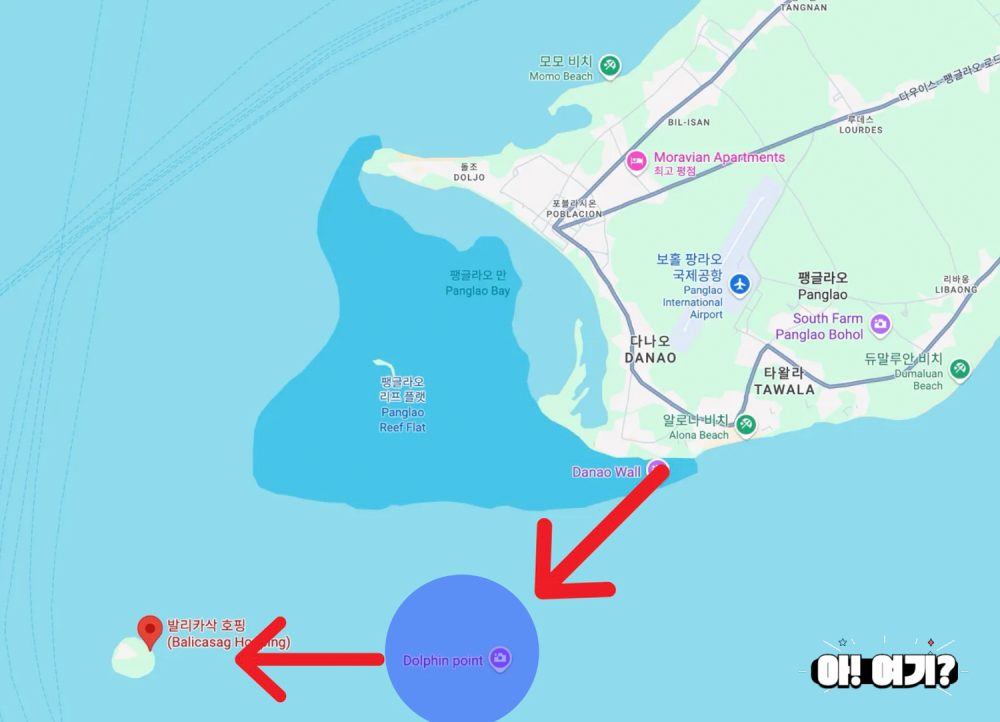 보홀 발리카삭 호핑투어 보홀 발리카삭 호핑투어